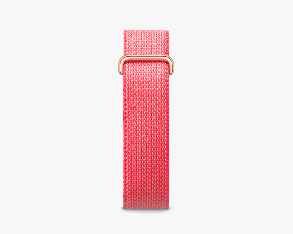 Fitbit Air Performance Loop: Berry
