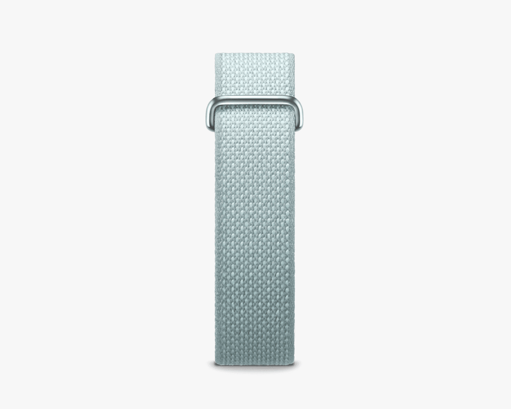 Fitbit Air Performance Loop: Fog