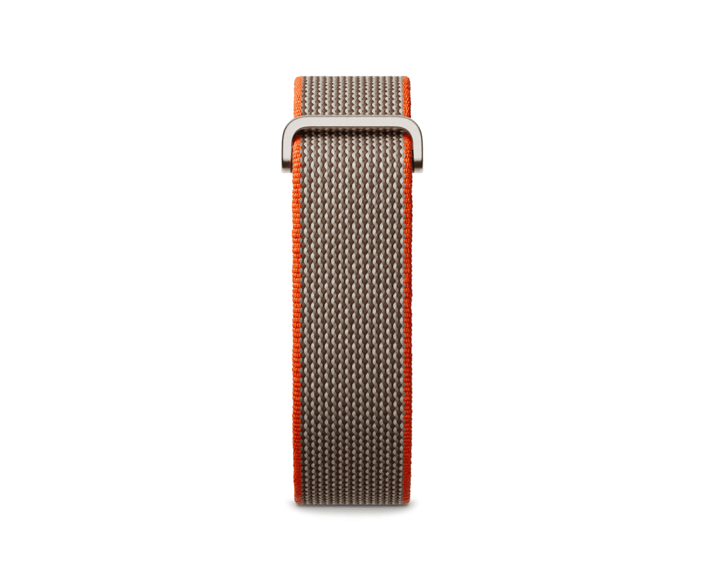 Fitbit Air Performance Loop: Rye