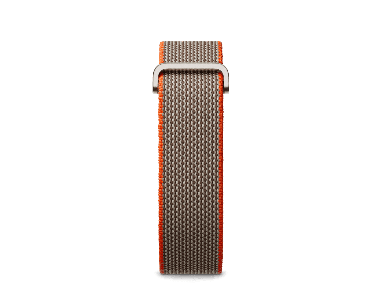 Fitbit Air Performance Loop: Rye