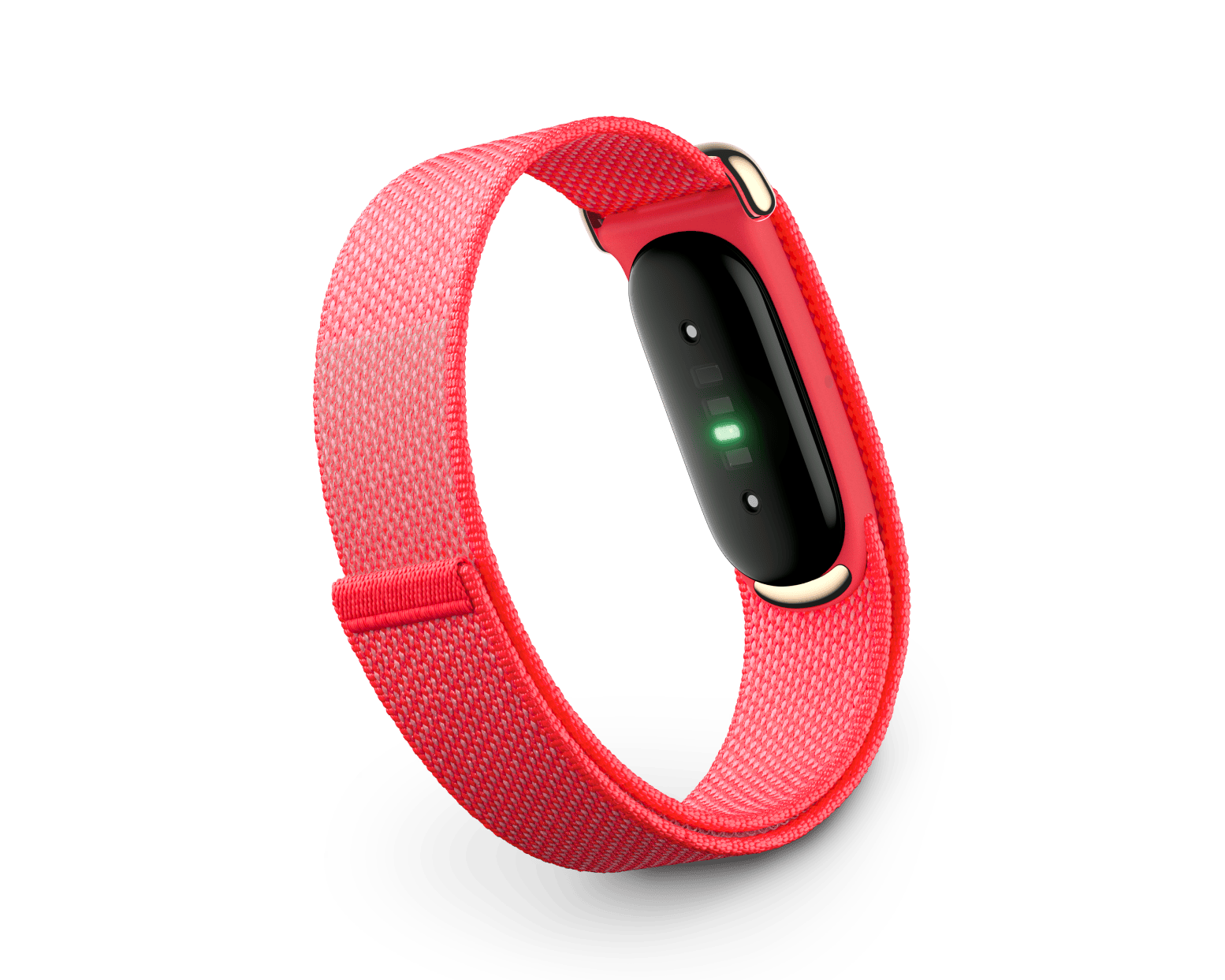 Fitbit Air Performance Loop: Berry