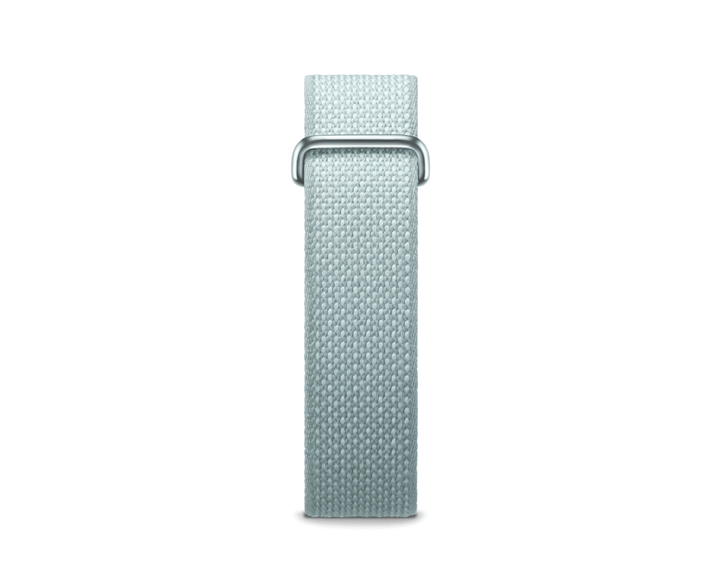 Fitbit Air Performance Loop: Fog