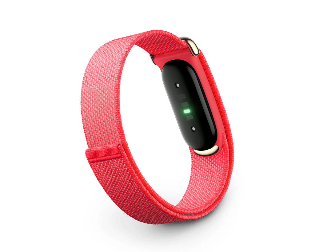 Fitbit Air Performance Loop: Berry (Metal Frame)