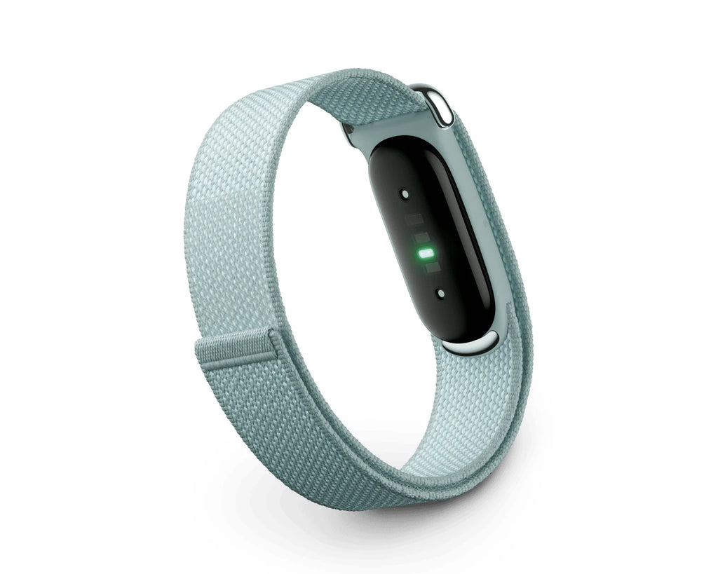 Fitbit Air Performance Loop: Fog (Metal Frame)