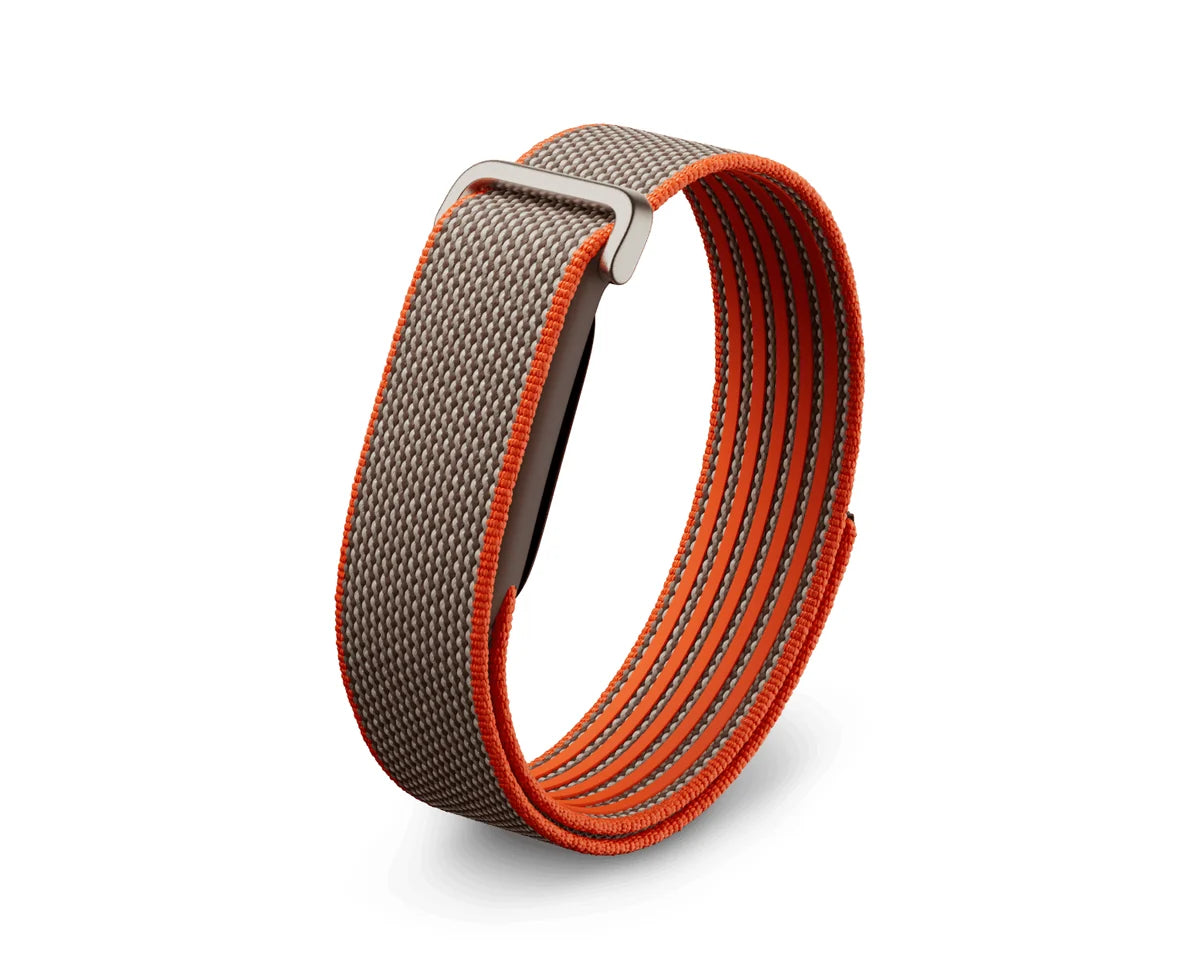 Fitbit Air Performance Loop: Rye (Metal Frame)