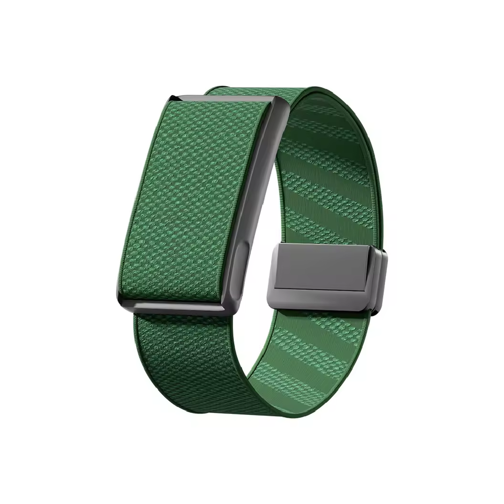Helio Strap Magnetic Loop Band: Fern
